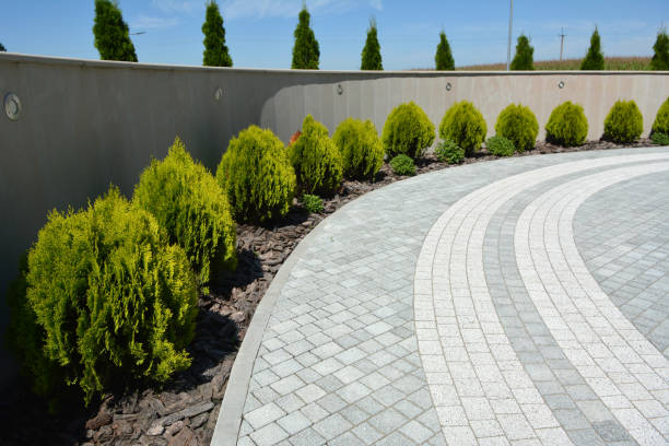Best Custom Driveway Pavers  in Oneida, NY